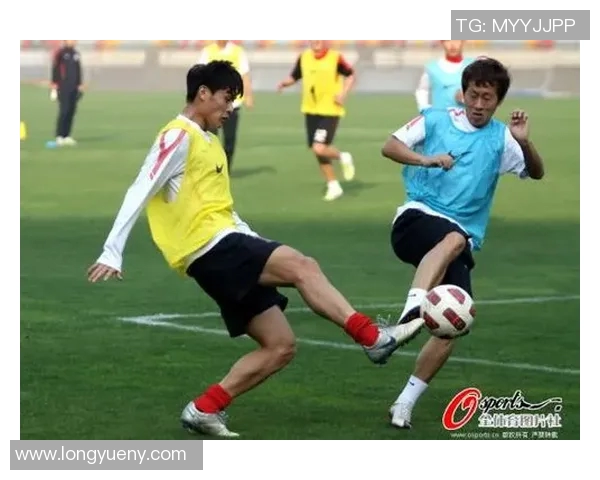 2017年辽宁宏运对战回顾及精彩瞬间分析与球队发展展望